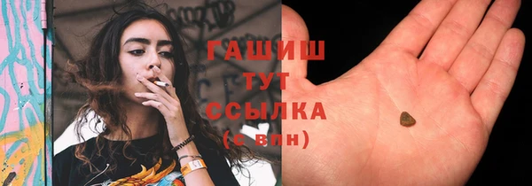 apvp Снежногорск