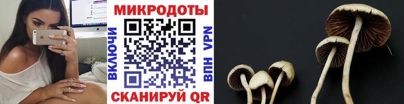 Купить  Москва  Псилоцибиновые грибы Cubensis 